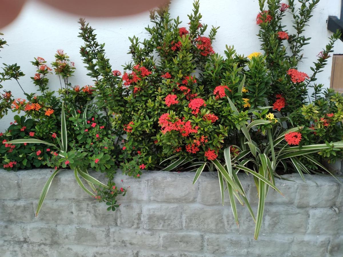 Pousada Terra De Minas Natal Ngoại thất bức ảnh