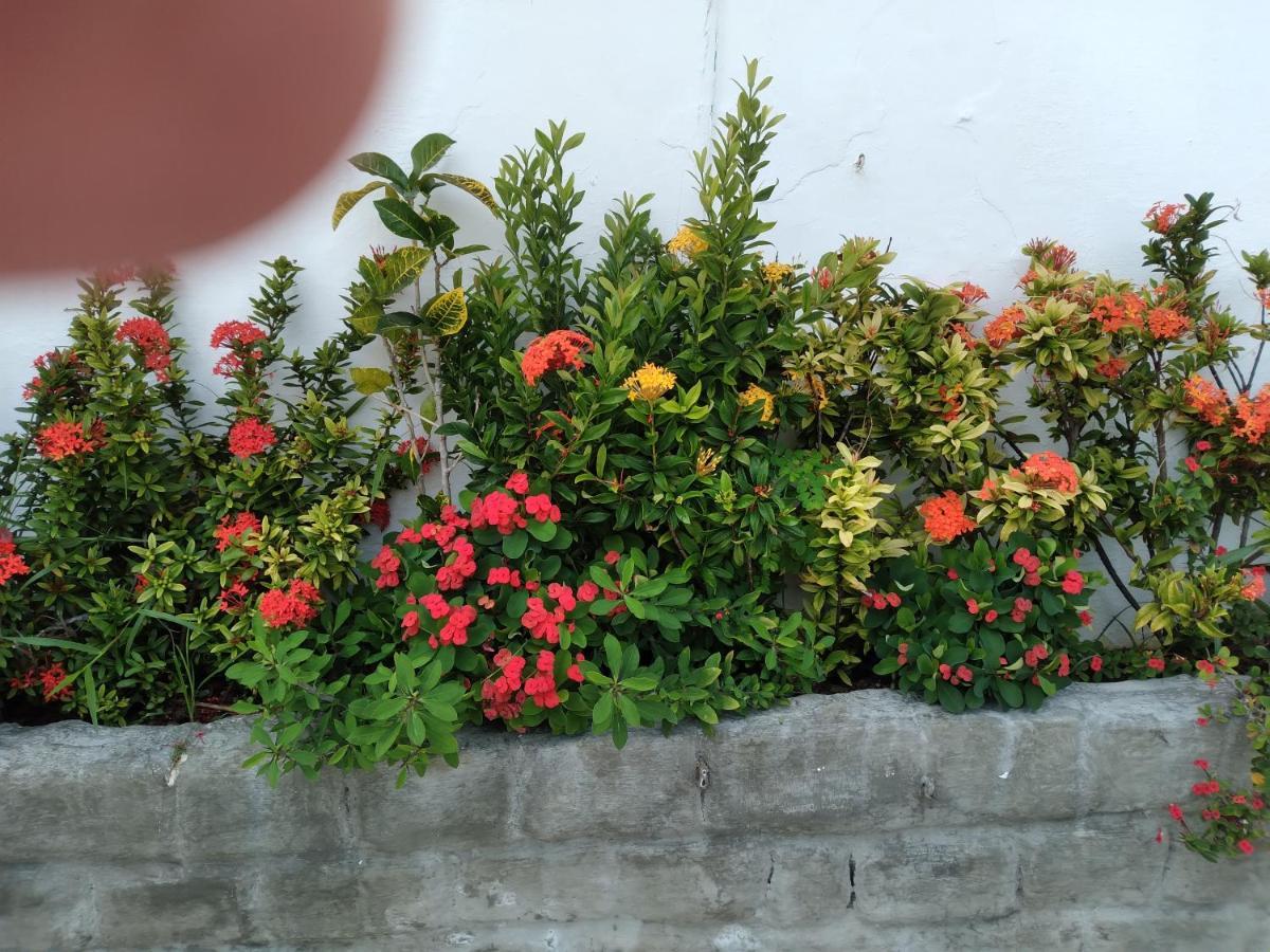Pousada Terra De Minas Natal Ngoại thất bức ảnh